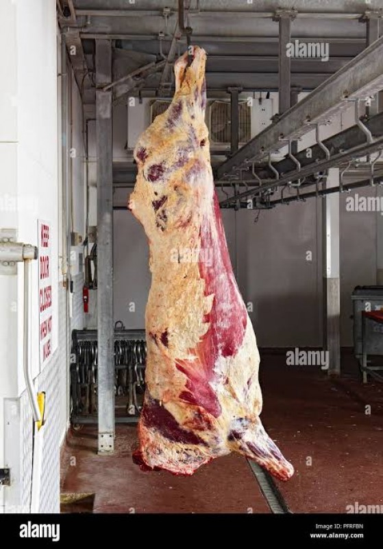 South African Beef from South Africa
